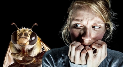Апифобия — ужас перед пчелами, осами, шмелями
